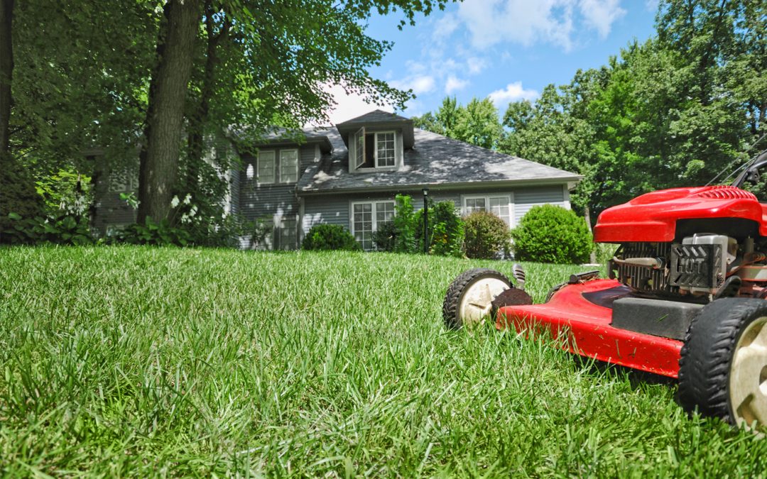 Mowing the lawn