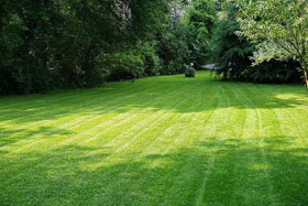 Large mowed lawn