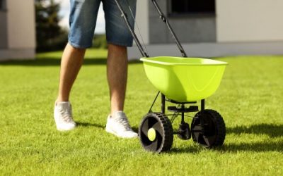 Getting the Most Out of Your Lawn Fertilizer Applications