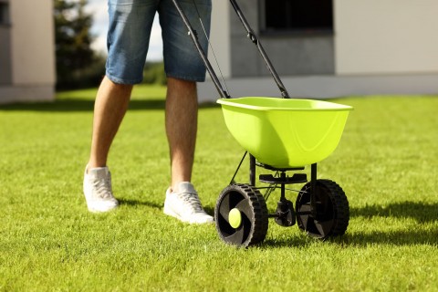 person fertilizing the lawn