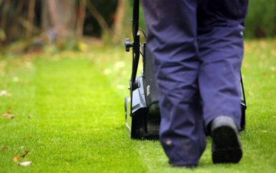 How Well Do You Know Your Lawn?