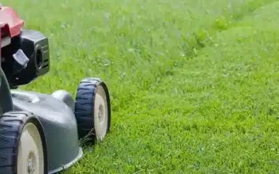 Tips on Lawn Mowing Frequency and Length of Cut