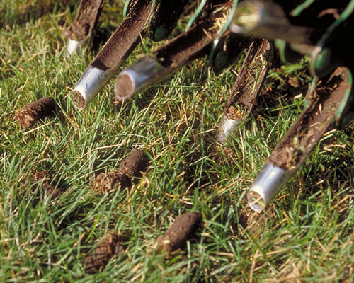 To Aerate or Not to Aerate?  The benefits of aeration in your lawn.