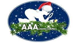 AAA Holiday Lights Logo