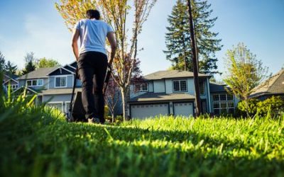 Lawn Care & Pest Control Testimonials – December 2018