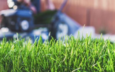 Lawn Care & Pest Control Testimonials – April 2018