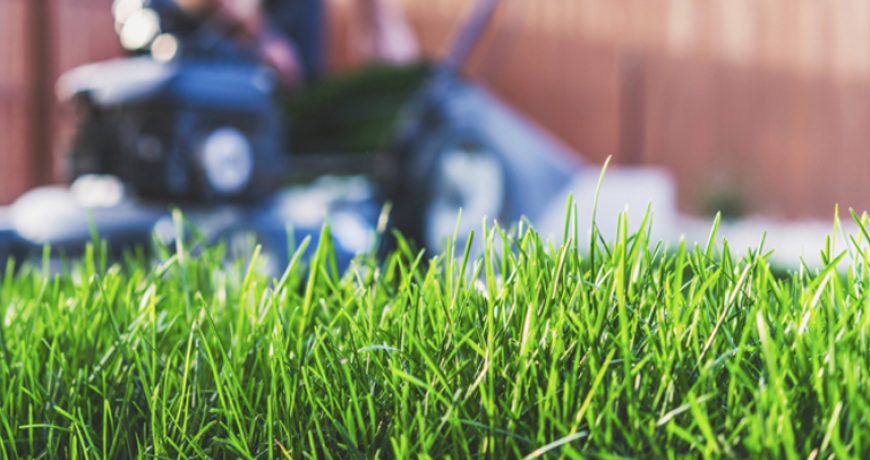 Lawn Care in West Michigan