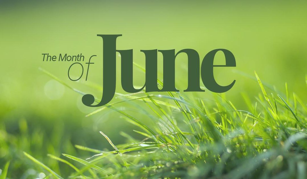 June Lawn Care News