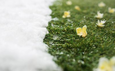How Snow Affects Your Michigan Lawn