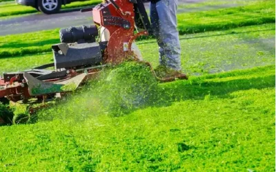 Top Environmentally Friendly Ways To Take Care Of Your Lawn