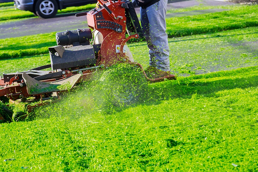Machine to take out grass deals