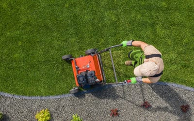 Core Aeration: Keeping Moisture In Your Lawn