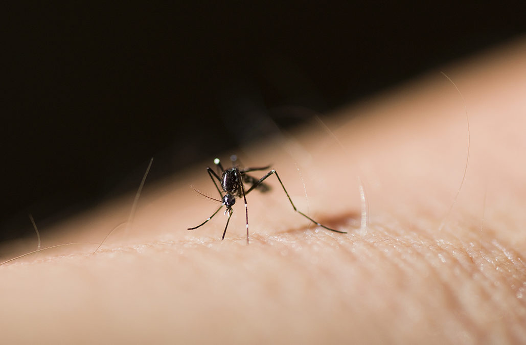 Mosquito Control in West Michigan