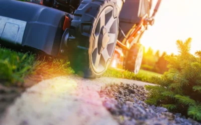 THE BEST MICHIGAN LAWN CARE SCHEDULE: Keep Your Yard Lush Across Seasons