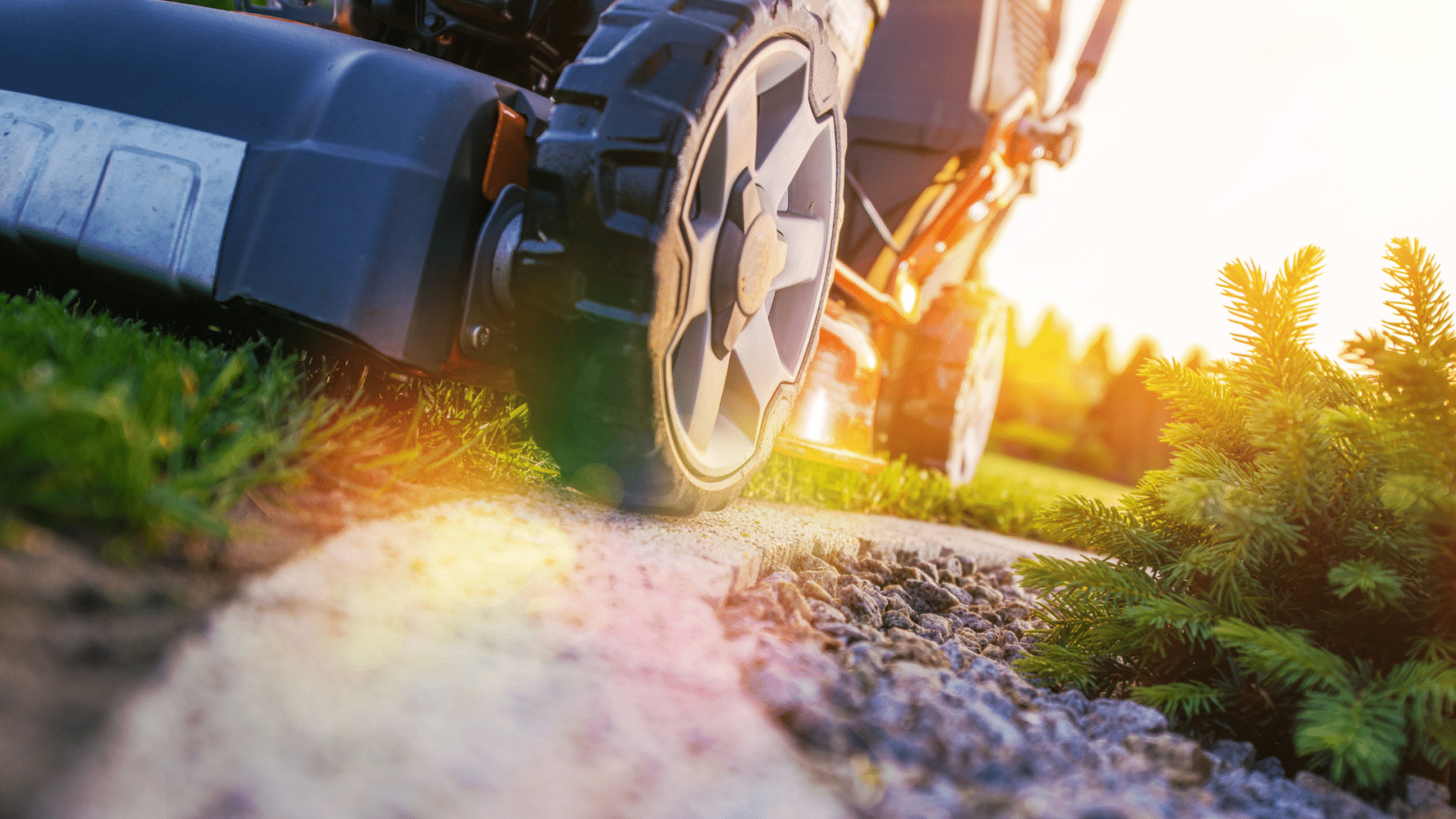 The Best Michigan Lawn Care Schedule - AAA Lawn Care