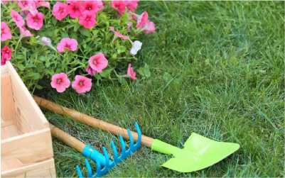 4 Things You Didn’t Know About Spring Lawn Care