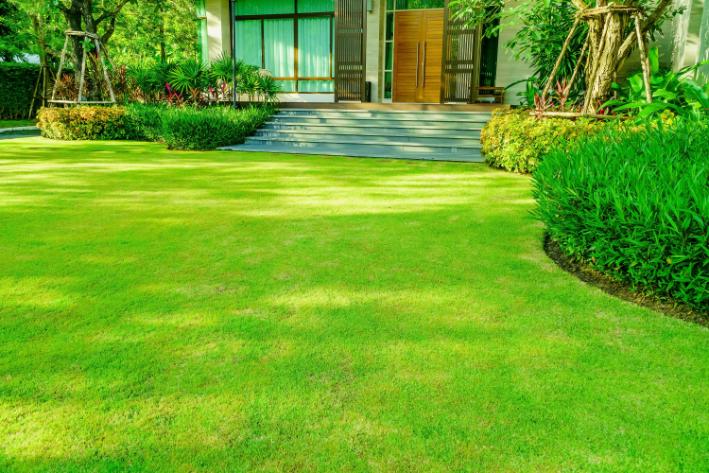 Front lawn with healthy green grass